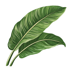 Exotic Tropical Leaves Design Vector Illustration for Creative Projects