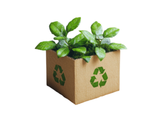 Eco-Friendly Box: A single plant thrives within a recycle box, symbolising growth, renewal, and environmental responsibility. It conveys sustainability, eco-consciousness.