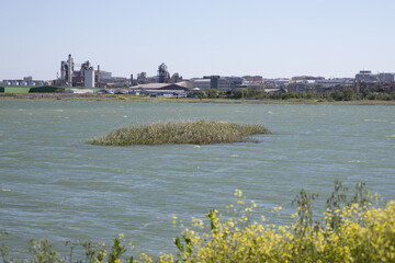 Urban Industry and Nature Coexistence by the Lake