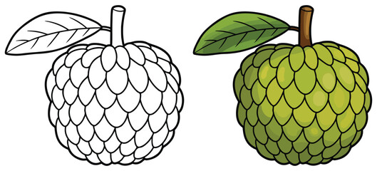 Cherimoya Fruit Line Art Vector Outline Illustration Black and White with Coloring Sample. Bold and Easy Food, Fruits, Sweets, Drinks, Dessert, and Snacks Coloring Pages for Adults and Kids