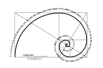 Fibonacci Sequence Spiral. Golden ratio. Geometric shapes Circles in golden proportion. Futuristic minimalist fashion design. Logo. Vector icon isolate on white background