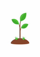 Simple Illustration of a Growing Plant with Green Leaves in Soil