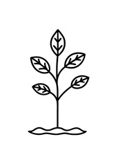 Simple Black and White Line Art Illustration of a Young Plant