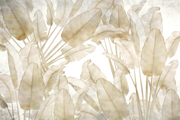 Beige banana leaf pattern background texture aesthetic botanical wallpaper