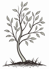 Stylized Tree Illustration with Leaves Branches and Roots on White Background