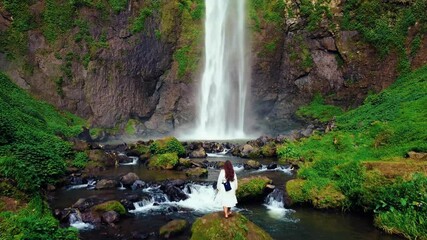 A hidden waterfall in Bali cascades powerfully, surrounded by lush green plants.