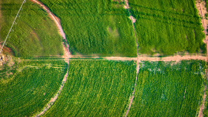 Aerial Crop Circles and Farmland Patterns with Dirt Paths Top Down View