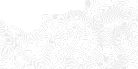 Abstract topography pattern seamless lines sea map modern design white background. Abstract digital topographic contour map concept space geometric strip grid line. Natural discovery of maps.	
