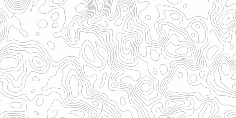 Abstract topography pattern seamless lines sea map modern design white background. Abstract digital topographic contour map concept space geometric strip grid line. Natural discovery of maps.	
