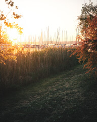 Amazing sunset over lake Balaton, Hungary in summer
