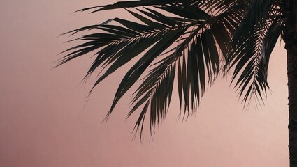 Creative summer copy space layout on pastel background. Minimal abstract tropical, summer and travel concept.