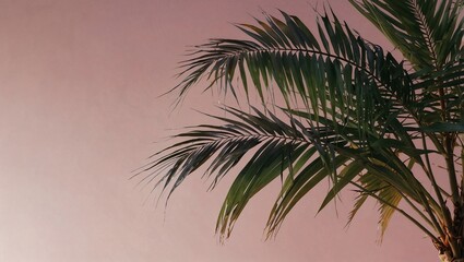 Creative summer copy space layout on pastel background. Minimal abstract tropical, summer and travel concept.