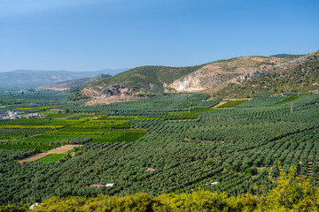 Vast Agricultural Landscape with Olive Groves and Orchards Stretching to Rocky Hills in İznik,...