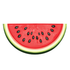 Detailed Watermelon Fruit Slice Vector Illustration Isolated on White Background