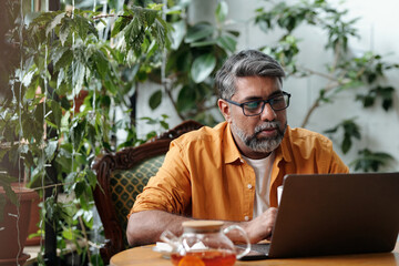 Portrait of middle-aged man with gray hair wearing orange shirt, focused on working on a laptop at...