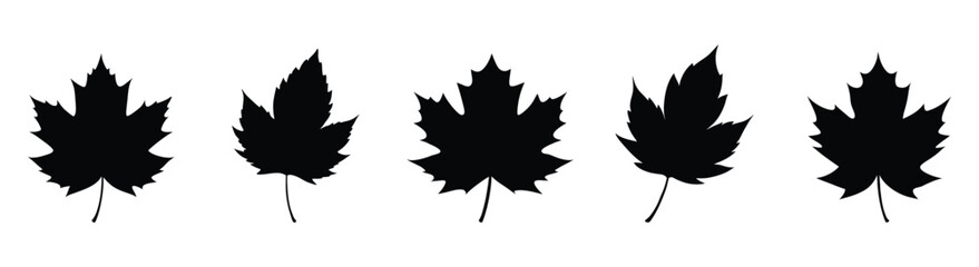 Set of maple leaf silhouettes , Maple leaf silhouette vector set, Canadian maple leaf icon vector