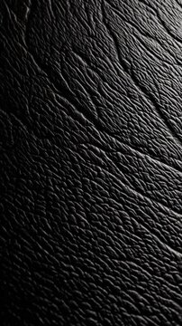 Cuir Noir Granit&eacute;