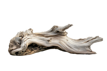 Driftwood  isolated on a transparent background