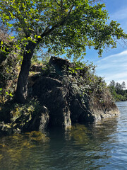 Exploring the Serene Shores of Lake Natoma in Folsom, California on a Sunny Day in Late May 2025