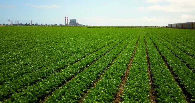 Aerial drone view of Ormond Beach Wetland with vegetable crops and freight train in Oxnard California
