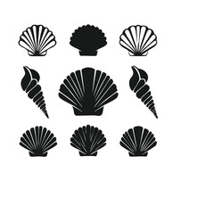 Collection of black and white seashells scallops