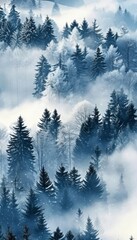 Obraz premium Misty valley surrounded by towering pine trees, creating a serene and enchanting landscape