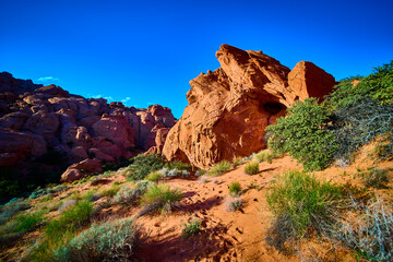 Obraz premium Red Sandstone Formations and Desert Vegetation Under Blue Sky Eye Level
