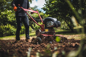 Farmer plows the land with a cultivator, preparing it for planting vegetables, on a sunny day garden. Man with garden tiller. Soil preparing.