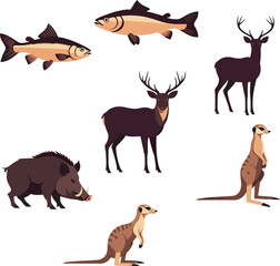 Obraz premium Animals Collection Vector and Clipart Illustrations 