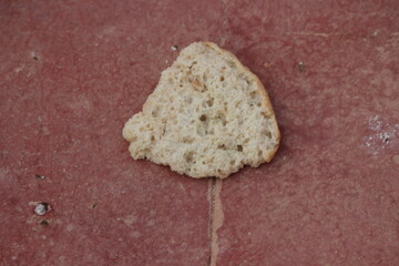  A piece of dry bread lying on the ground