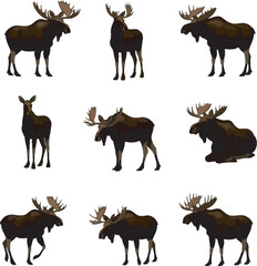 Obraz premium Animals Collection Vector and Clipart Illustrations Silhouette 
