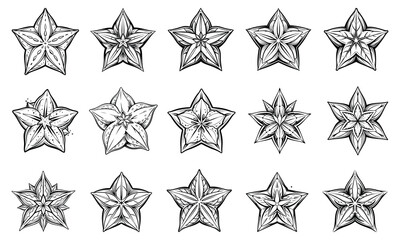 Intricate Starfruit Line Art Illustration for Adults, Designed for Stress Relief and Relaxation, Ideal for Printable Art Therapy or High-Quality Adult Coloring Books.
