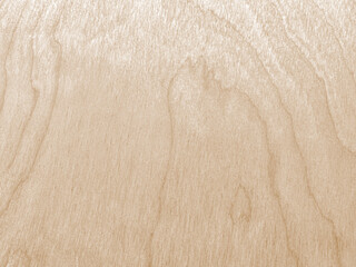 Light-colored wood grain showcasing natural patterns and smooth texture in a well-lit environment, perfect for design projects