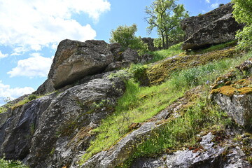 Bustarviejo-Navalafuente