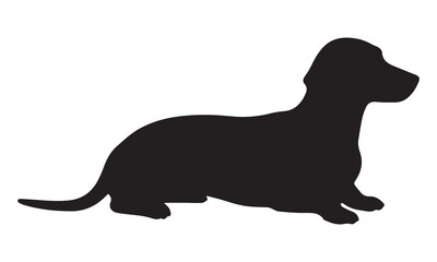 Dachshund dog art vector illustration art design.vectors,background,illustration, daily, popular, unique,king, viral.