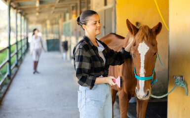 Young woman combs mane of chestnut horse in stable with brush