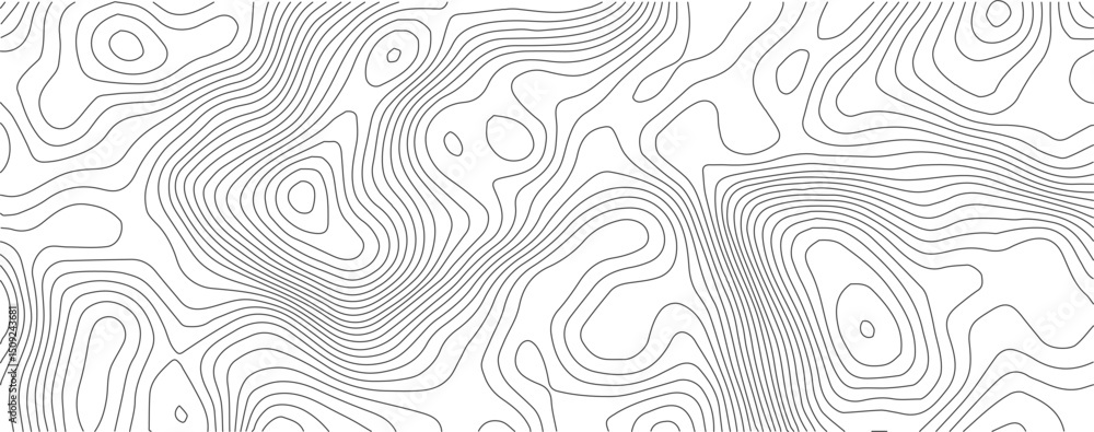 Fototapete the black grey on white contours vector topography stylized height of the lines. the concept of a co