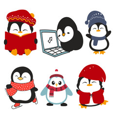 Penguin colour vector set 9