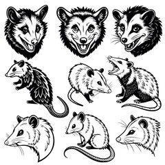 
set of vector portraits of possum