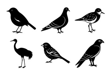 Silhouettes of Various Birds Vector Pack