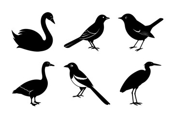 Fototapeta premium Black Bird Outline Silhouette Collection