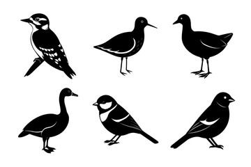 Silhouettes of Birds Vector Icons
