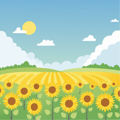 Fototapeta premium A sunflower field under a bright blue sky 