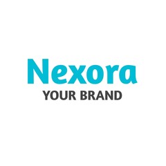 Nexora Lettermark Logo – Modern Minimalist Tech Startup Branding Design logo design