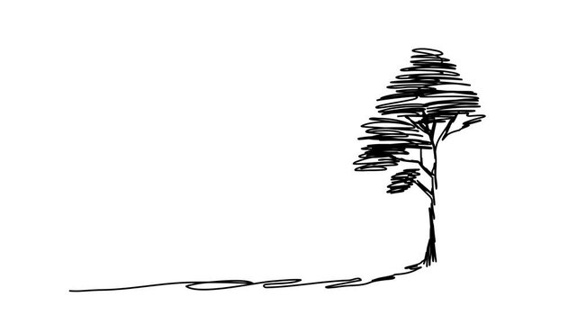 Tree sketch, one line drawing animation. Video clip with alpha channel.