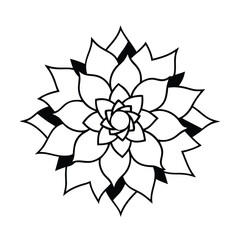 vector illustration of a flower