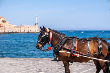 Chania Crete. Horse carriage at the old venetian harbor
