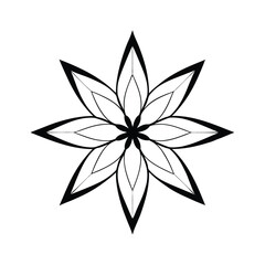 black and white abstract flower