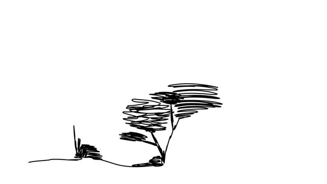 Tree sketch, one line drawing animation. Video clip with alpha channel.