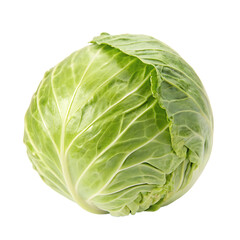 A whole single cabbage isolated on a transparent background